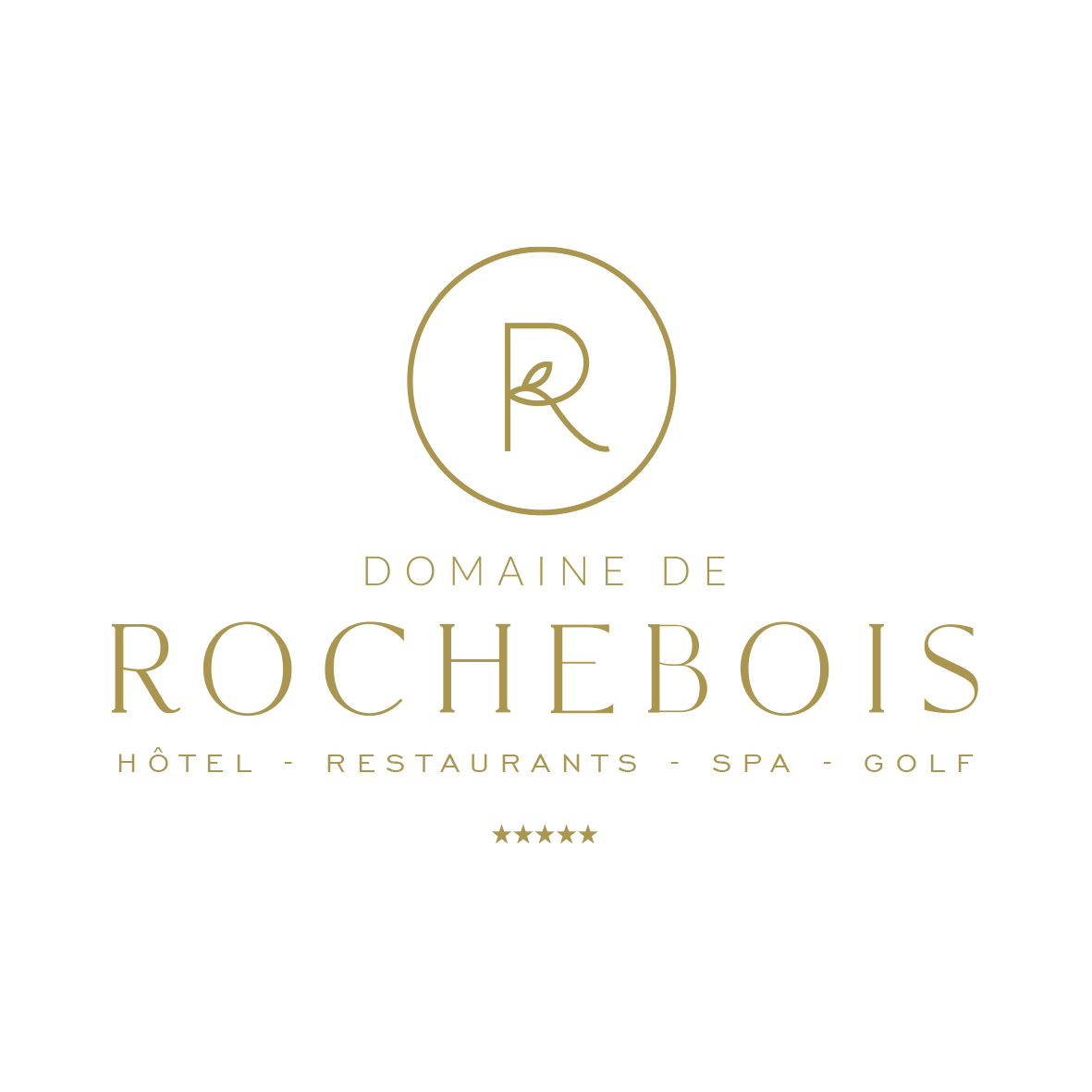 Logo du Domaine de Rochebois